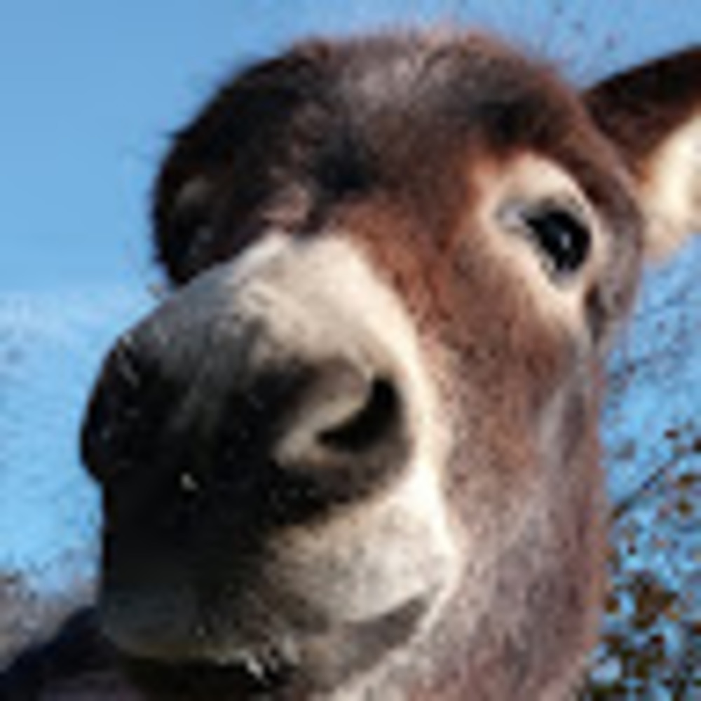 Meet your Posher, Virtual